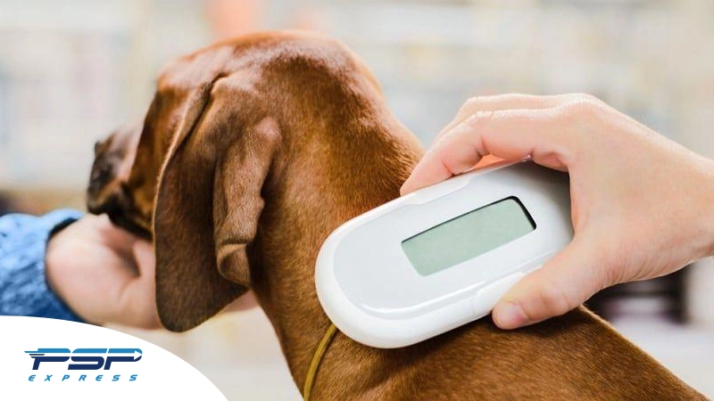 میکروچیپ حیوان چه معایبی دارد؟